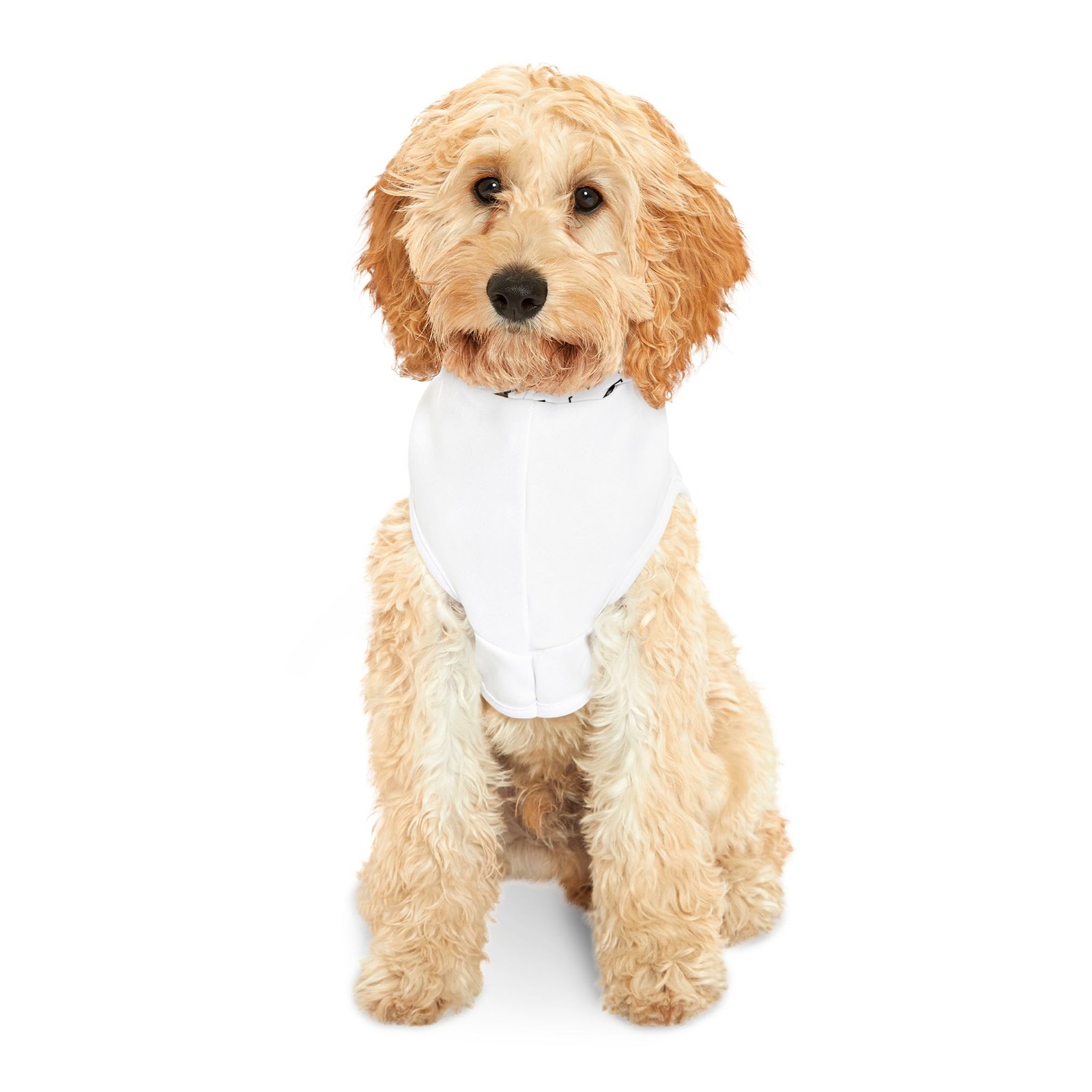 Pet Milo Rescue Journey Hoodie - Image 3